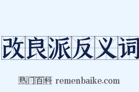 改良派反义词是什么意思的图片